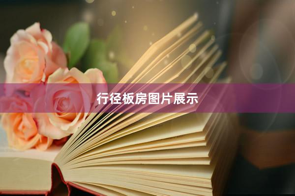 行径板房图片展示